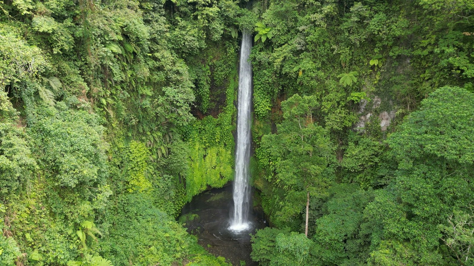 Sekumpul Waterfall